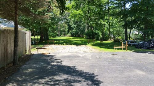 Trees growing in park