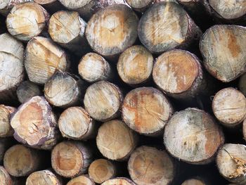 Full frame shot of logs