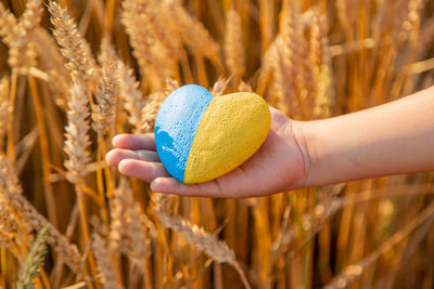 Cropped hand of woman holding easter egg