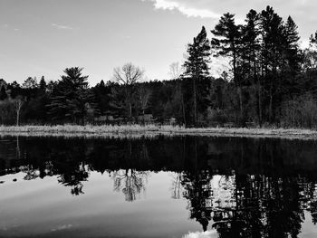Scenic view of lake by trees against sky
