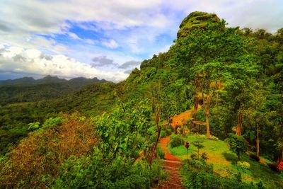 Scenic view of landscape against sky