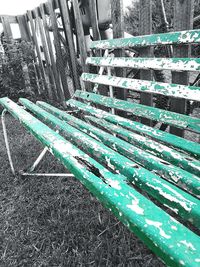 Close-up of tree against sky