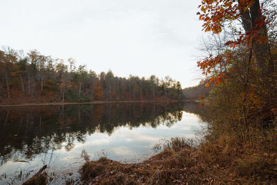 Scenic view of lake in forest against sky during autumn