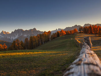 Scenic view of field against clear sky during sunset