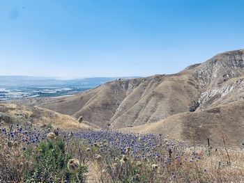 Scenic view of landscape against clear blue sky