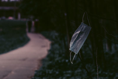 Close-up of leaf against blurred background