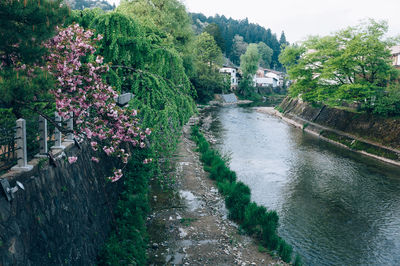 High angle view of flowering plants by river