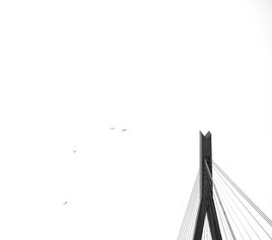 Low angle view of birds flying against clear sky