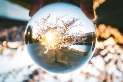 Close-up of crystal ball on glass