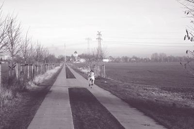 Woman on road amidst trees against sky