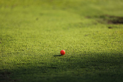 Close-up of golf ball on field