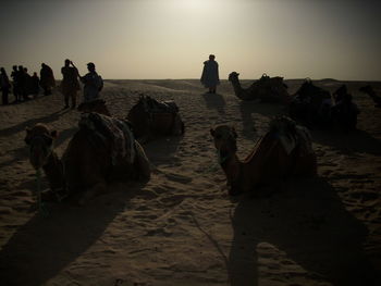 People at beach during sunset