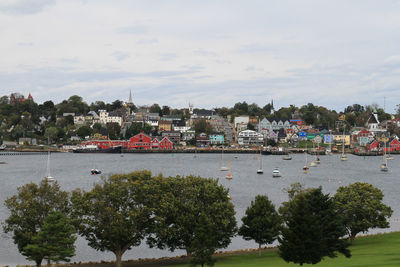 Reflection of trees in water