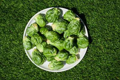 Directly above shot of brussels sprouts in plate on field