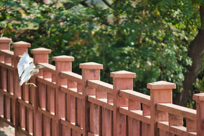 Row of built structure against trees