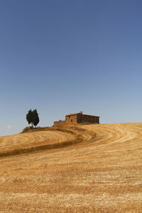 Scenic view of field against clear sky