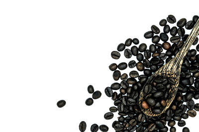 Close-up of coffee beans against white background