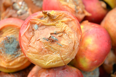 Close-up of fruits