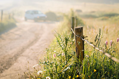 View of wooden post of a barbed wire fence and car on field in summer