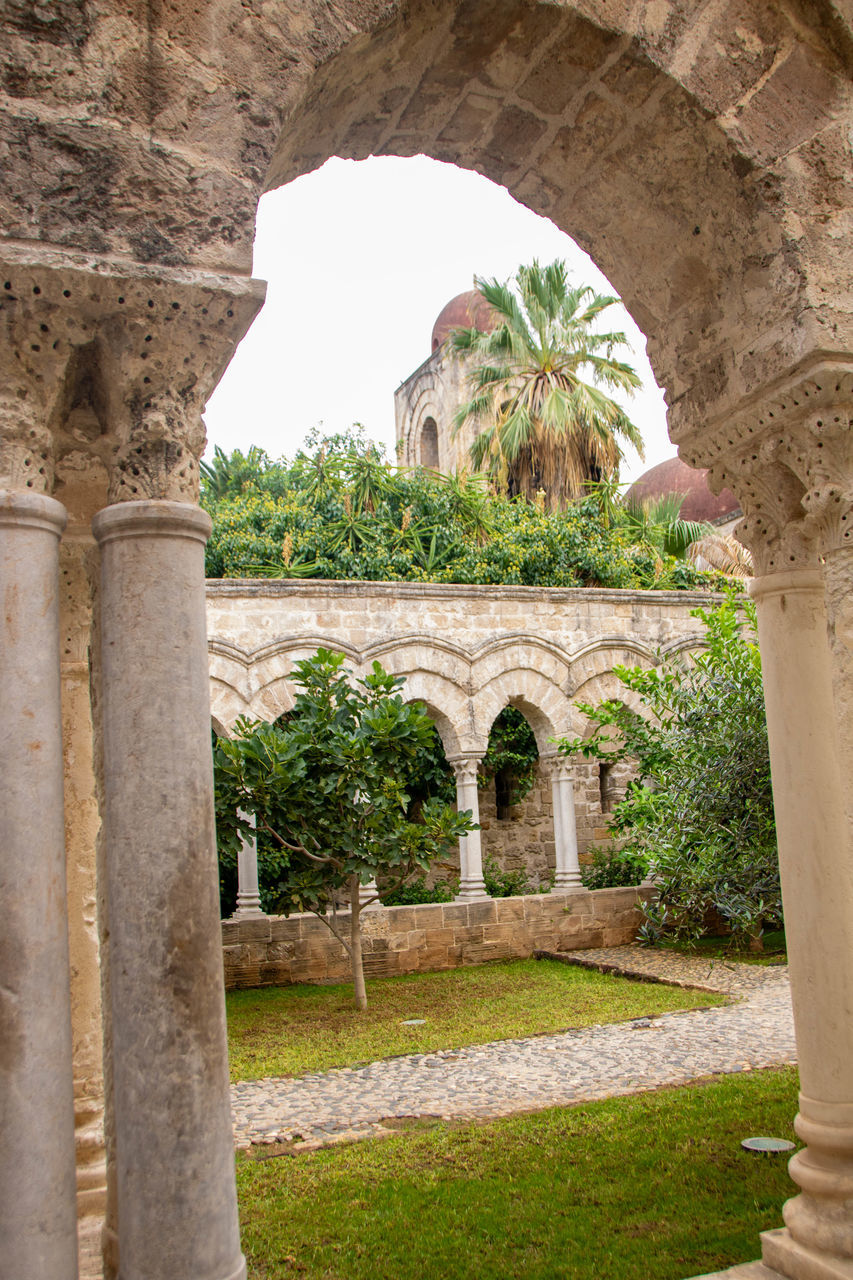 architecture, arch, built structure, history, the past, ruins, ancient history, architectural column, plant, travel destinations, ancient, nature, building exterior, no people, travel, old ruin, building, temple, abbey, tree, day, old, tourism, place of worship, outdoors, stone material, religion, grass, column, arcade