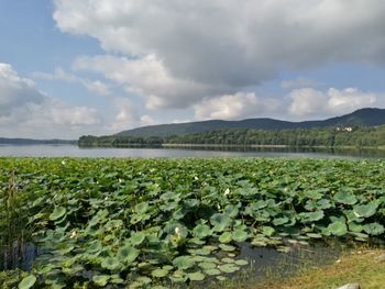 Scenic view of lake against sky