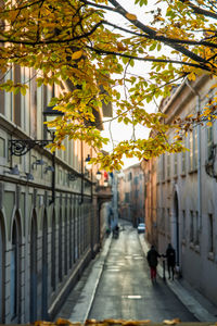 Alley amidst buildings in city