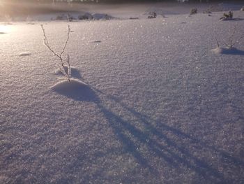 High angle view of frozen on field during winter