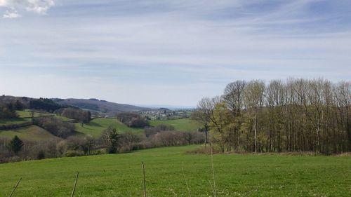 Trees on field against sky