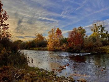 Scenic view of lake in forest against sky during autumn