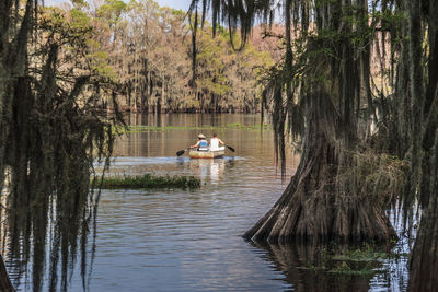 Boat in lake by trees