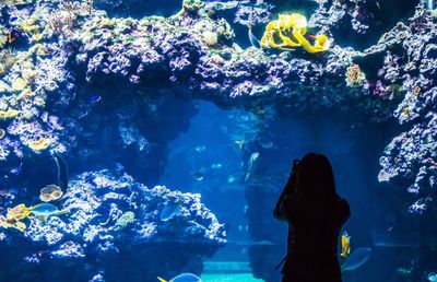 Silhouette woman standing in oceanographic museum