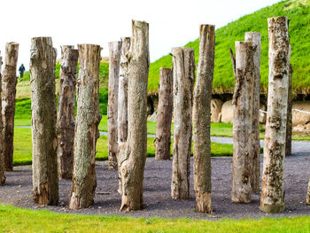 Old wooden posts on grass against sky