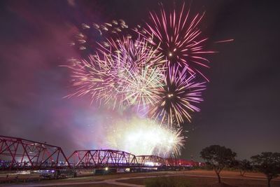 Low angle view of firework display at night