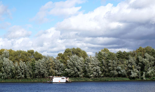 Trees by river against sky