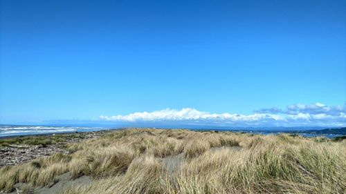 Scenic view of beach against blue sky