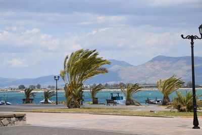 Palm trees at sea shore by mountains against sky