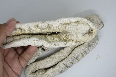 Close-up of hand holding ice cream over white background