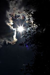 Silhouette trees against sky