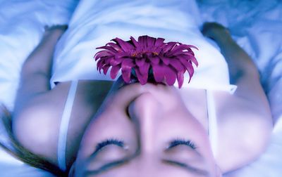 Close-up of woman with purple gerbera daisy in mouth lying on bed