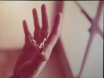 Close-up of woman hand on wall