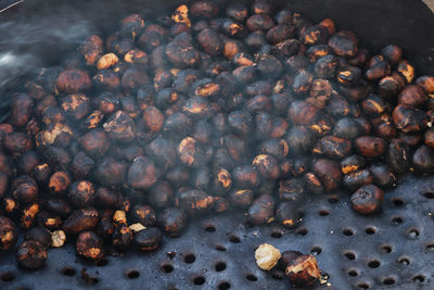 High angle view of berries