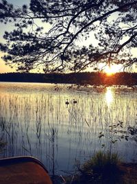 Scenic view of lake at sunset