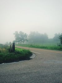 Road passing through trees