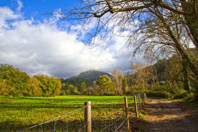Scenic view of field against cloudy sky