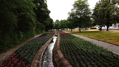 Footpath in park