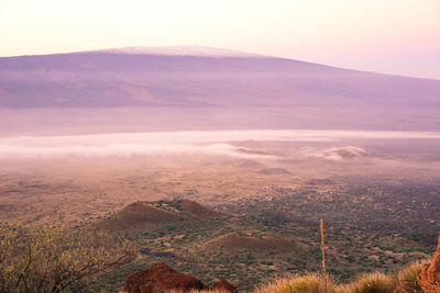 Aerial view of landscape