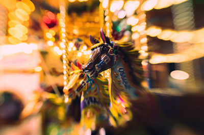 Close-up of insect on illuminated christmas lights