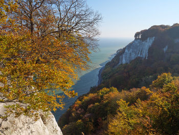 Scenic view of autumn trees against clear sky on ruegen