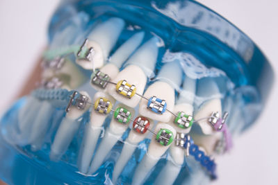 Close-up of artificial teeth