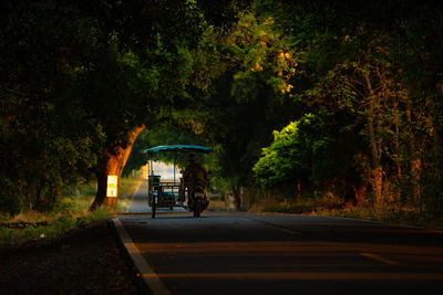 Street amidst trees in city at night